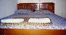 Zimmer, Bild 1  (4.7 K)