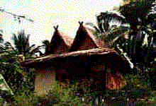 House with land for sale, Maenam Beach, Ko Samui, Thailand.