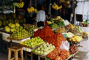 Fr&uuml;chtemarkt in Chiang

Mai. cnx062_4.jpg (17886 Byte)