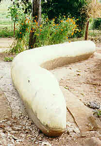 Ko Mae Mai, Ban Nong Nam, Chiang Saen, picture 7