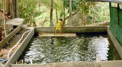 Mae Na Chorn, Chiang Mai Provinz, Thailand: Das Entenbecken - und vielleicht sp&auml;ter auch mal Fischzuchtbecken.